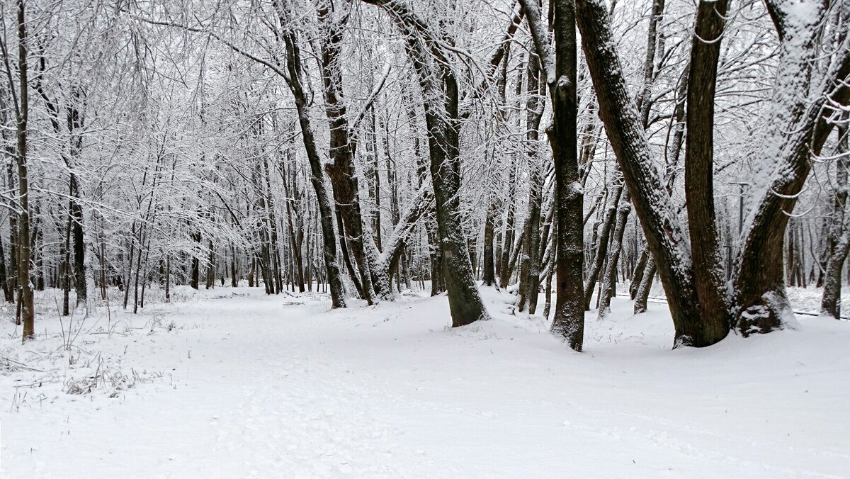 Город после снегопада. - Милешкин Владимир Алексеевич 