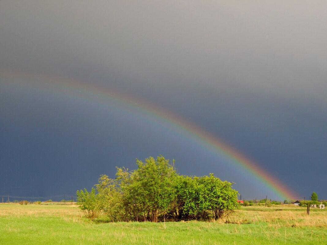 Радужный день. - nadyasilyuk Вознюк