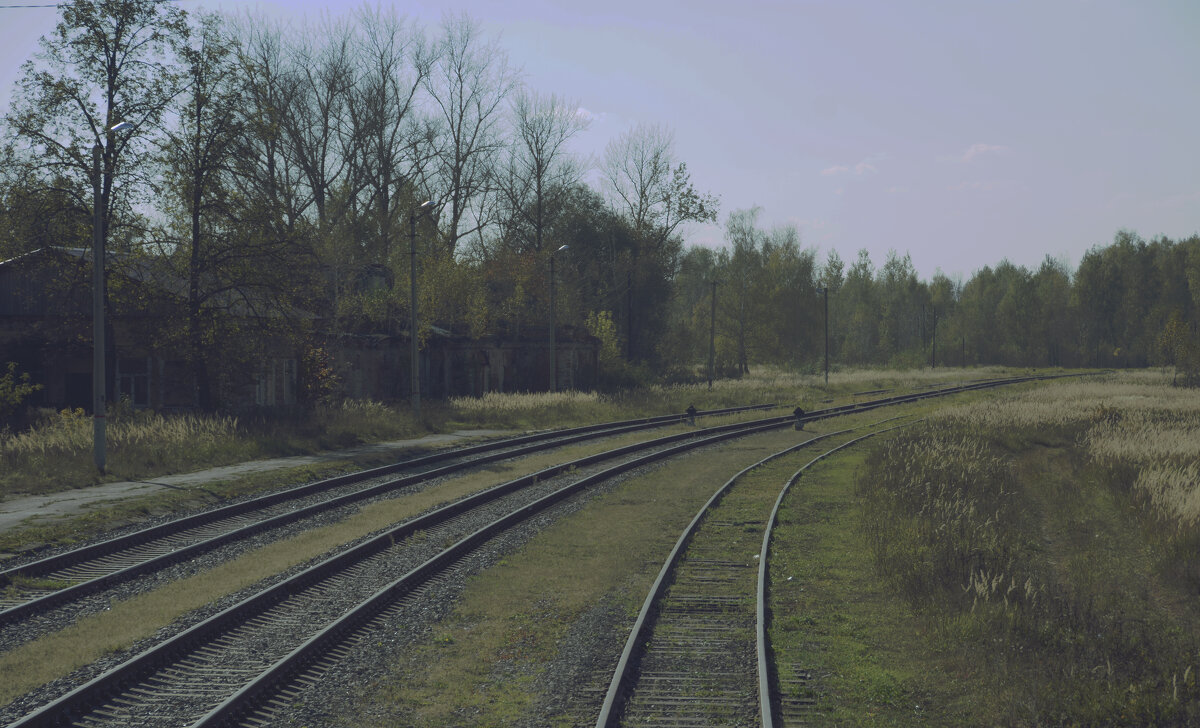 Белёвская весна - Дмитрий Коноплев