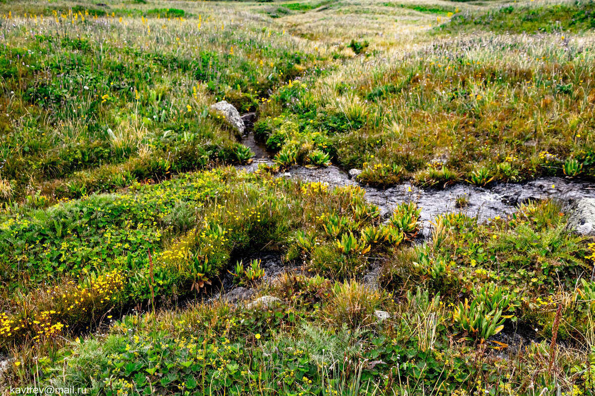 ГОРНЫЕ РУЧЬИ - HART BAD