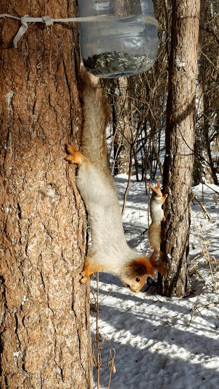 На завтрак ! - Мила Бовкун