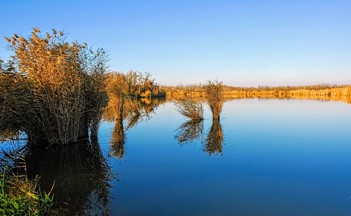 Ноябрь. - Владимир 