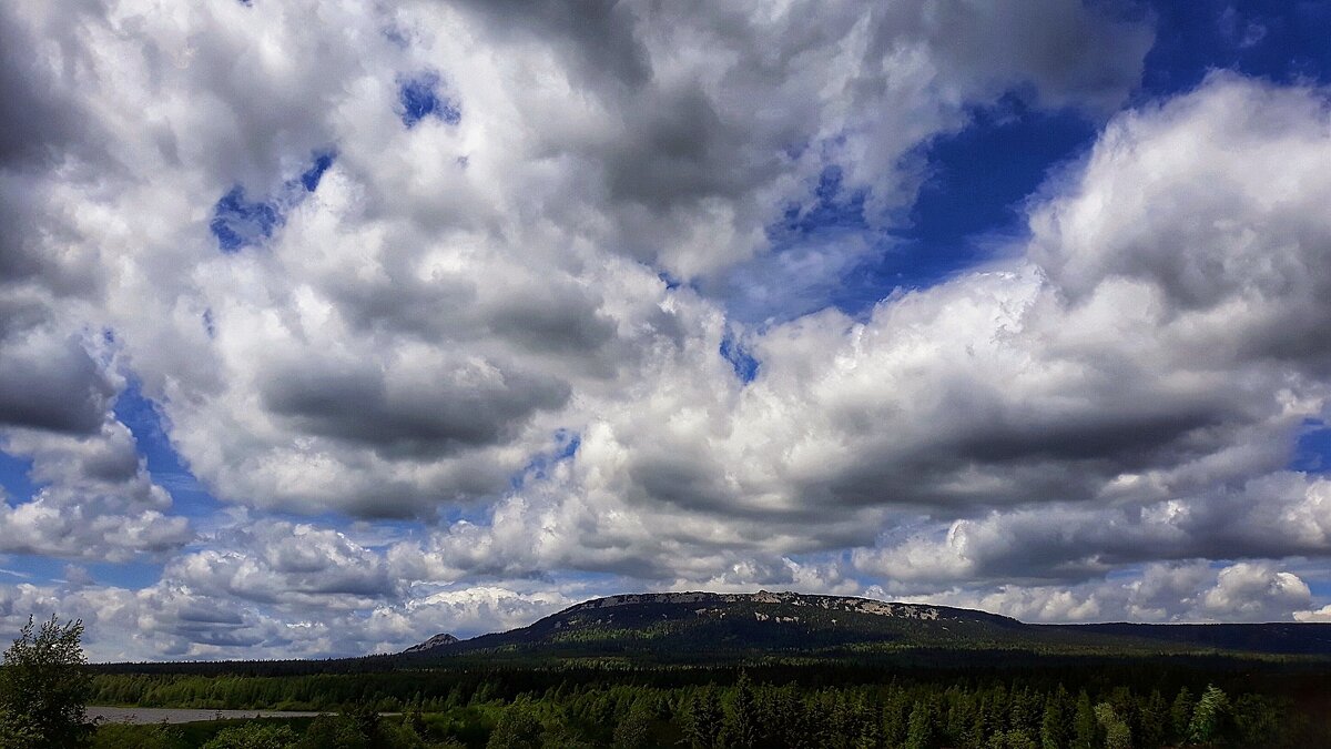 Васильки зацветают - Hope 