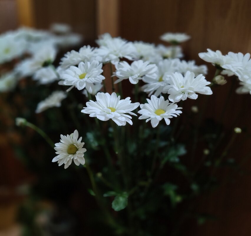 Букет от сына на День Матери... - tatyana 