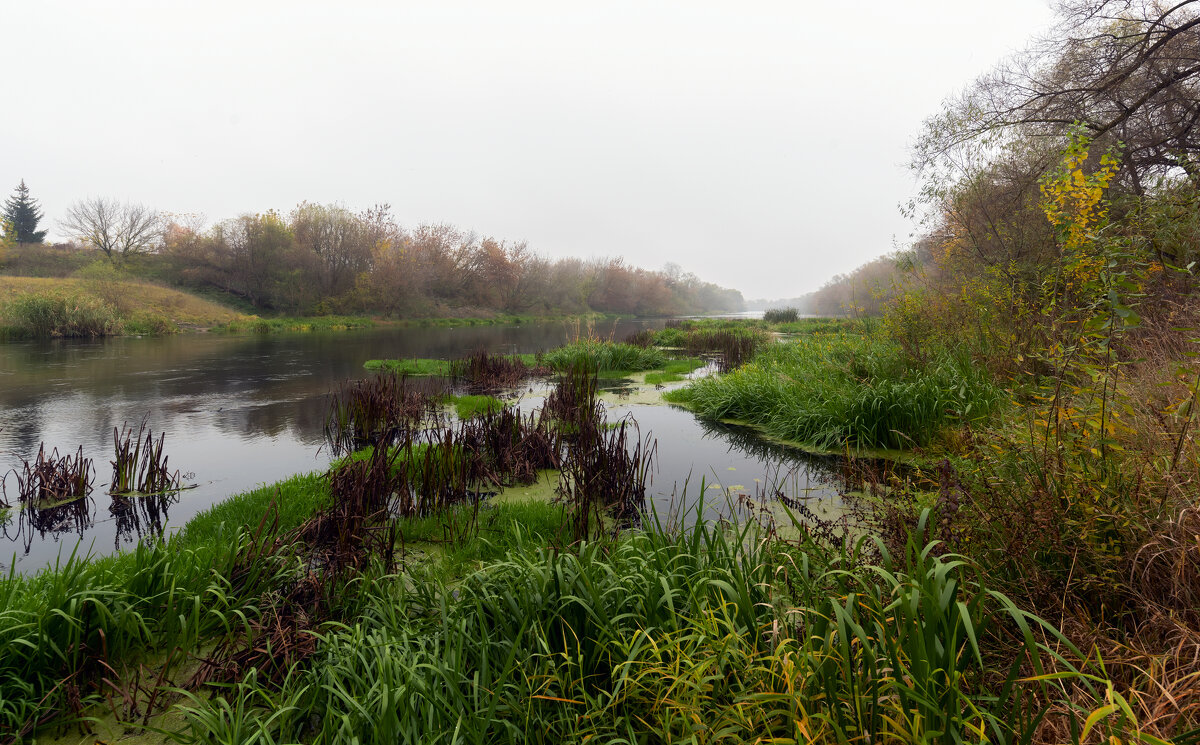 ** - Виталий Емельянов