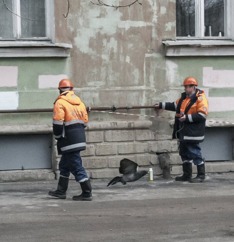 *** - Александр Русинов