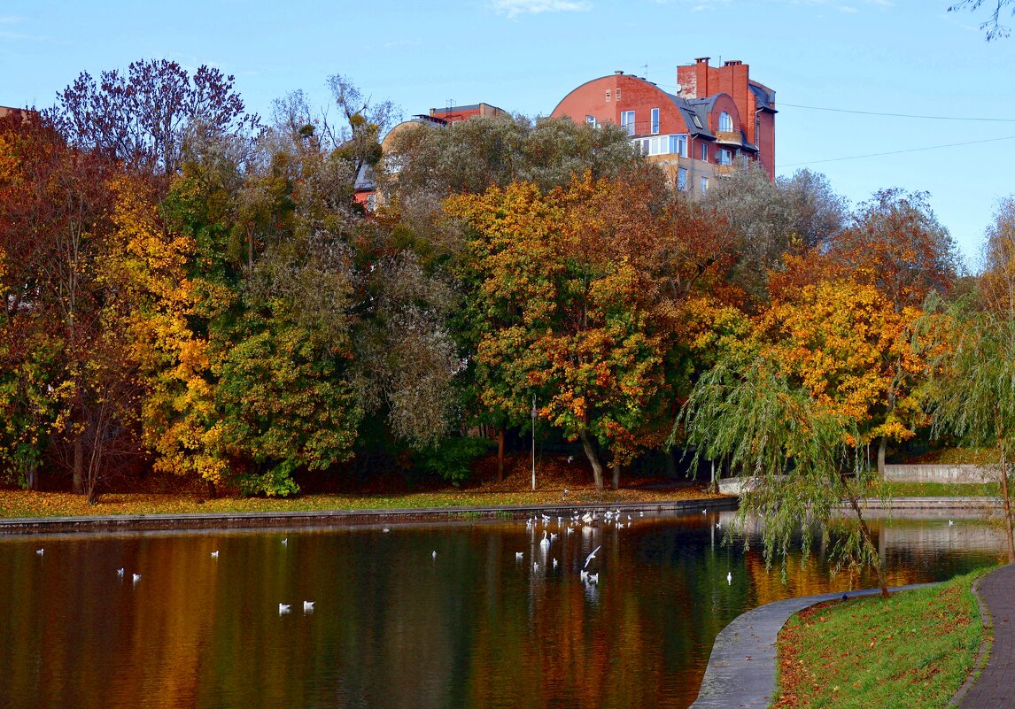 Зоологический пруд - Сергей Карачин