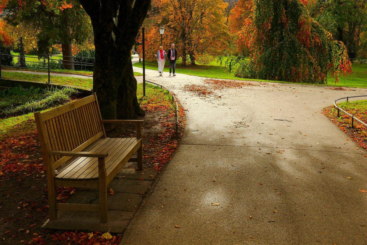 Скамейка в ожидании - Юрий. Шмаков