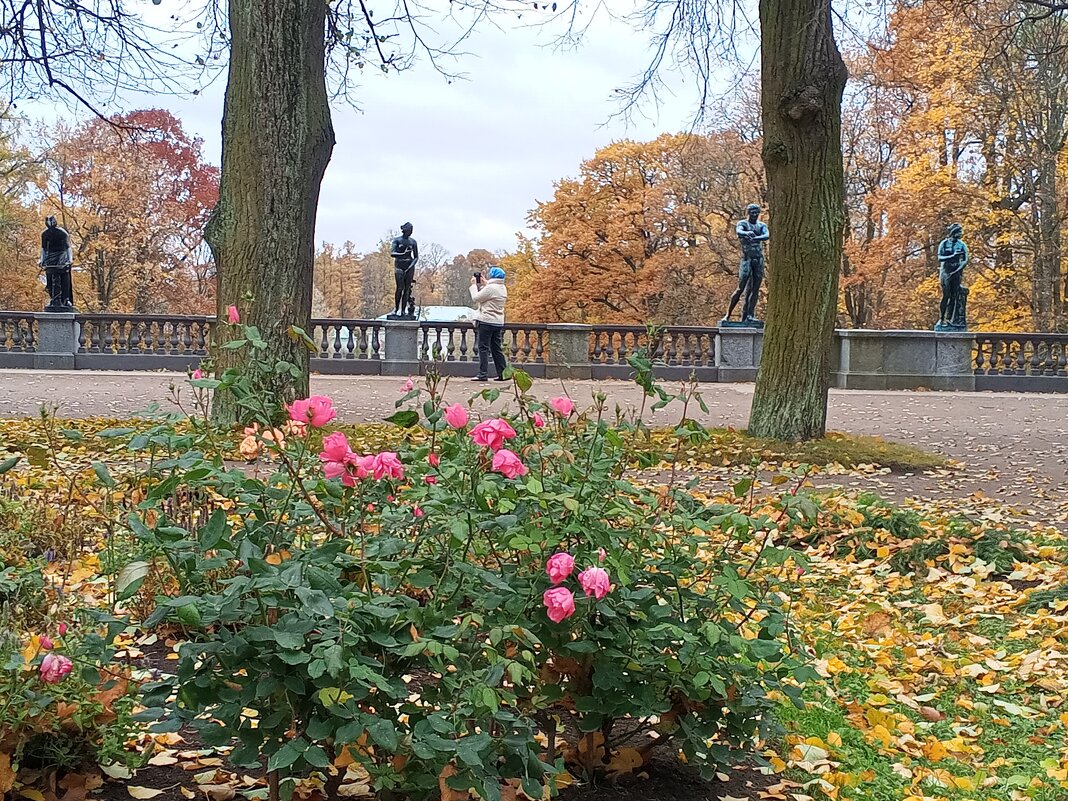 Осень - Сапсан 