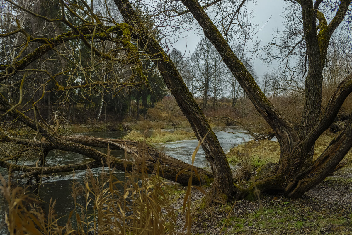 ... - Николай 