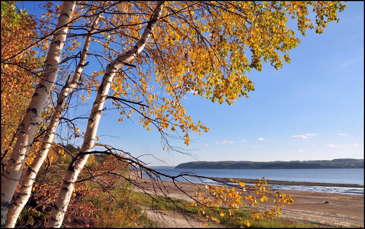 Волга - **** vedin