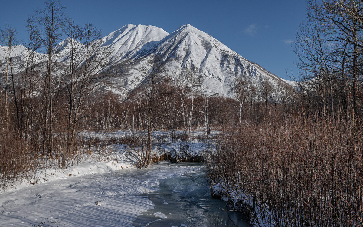 ... - Жора Житников