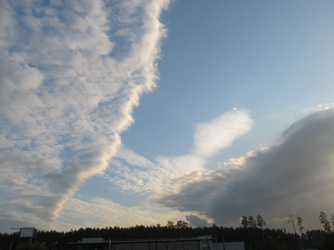 облака - Елена Шаламова облака - Елена Шаламова