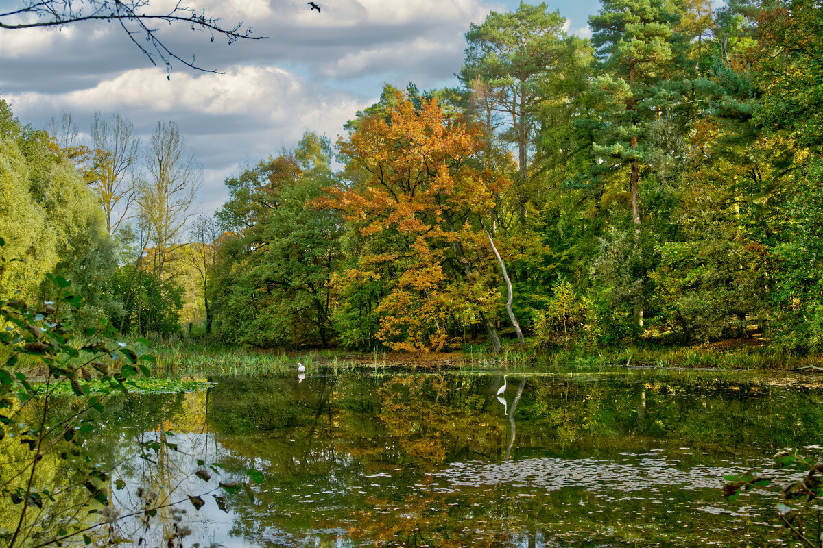 Пруд ... - Jakob Dick