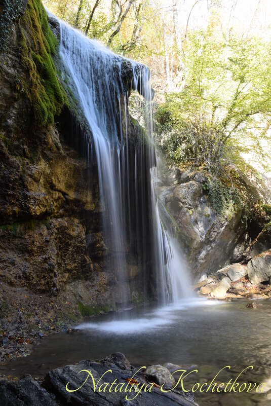 Природа Крыма - Amazing Cosmea