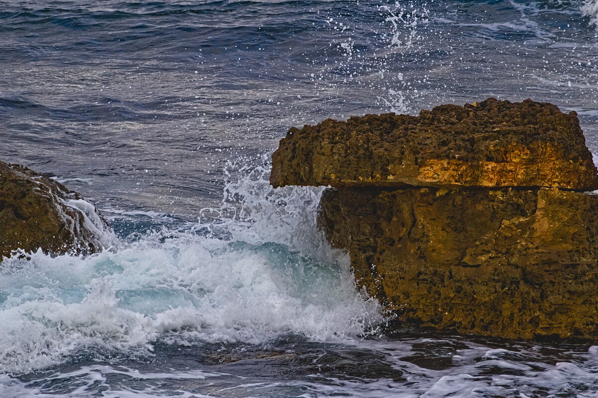 Морько - Giant Tao /