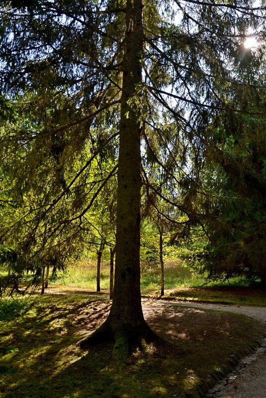 МИХЙЛОВКОЕ. - Виктор Осипчук