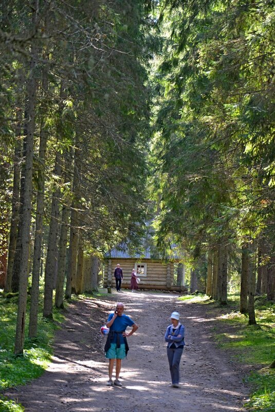 МИХЙЛОВКОЕ. - Виктор Осипчук МИХЙЛОВКОЕ. - Виктор Осипчук