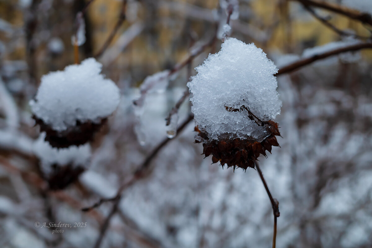 Шапка первого снега - Александр Синдерёв