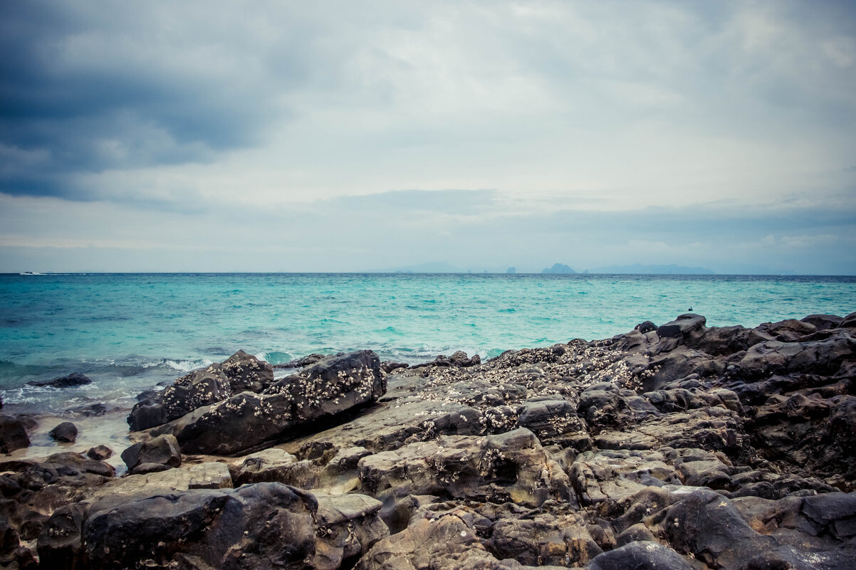 Опять про море - Максим 