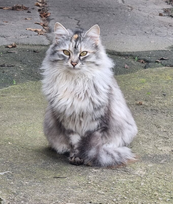 Частая гостья :) - Наталья 