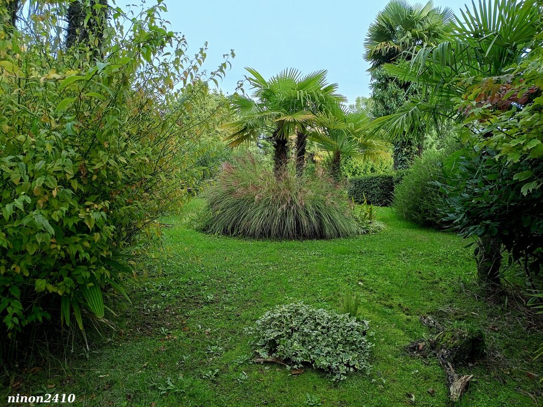 Адлер... ноябрь... - Нина Бутко Адлер... ноябрь... - Нина Бутко