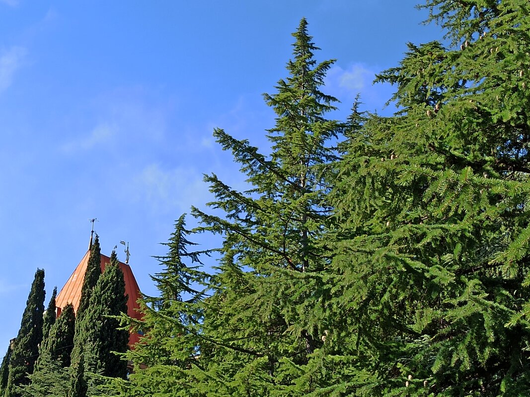 Природа Крыма - Галина 