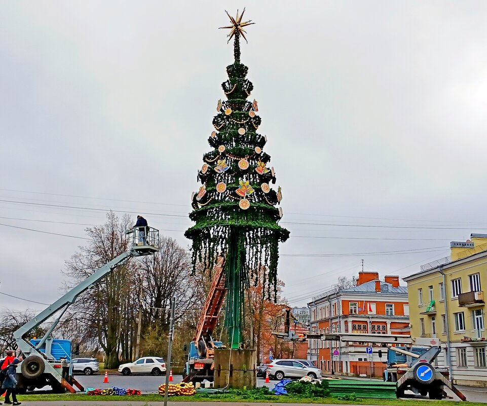 В Петергофе сегодня шла установка и сборка новогодней ёлки. - Лия ☼