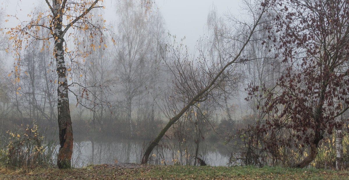 **** - Владимир Безбородов