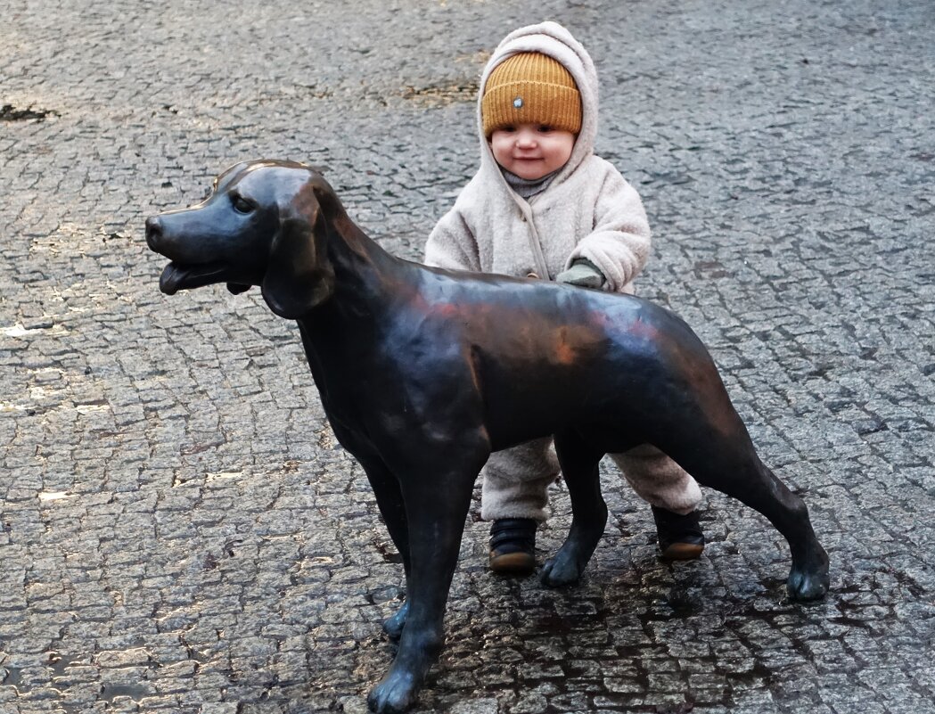 Какая красивая собачка! - Aida10 