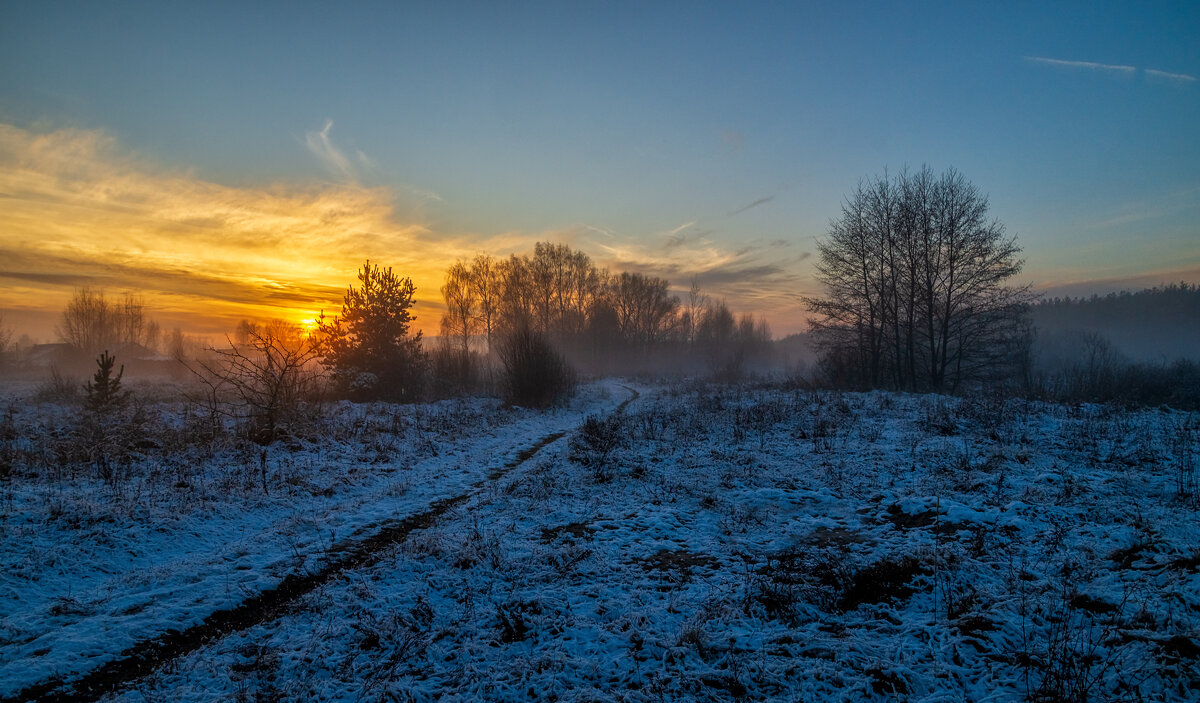 Вечер ноября 10 - Андрей Дворников