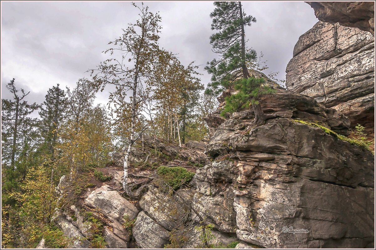 Каменный город (Чёртово Городище, Черепахи) - Aquarius - Сергей