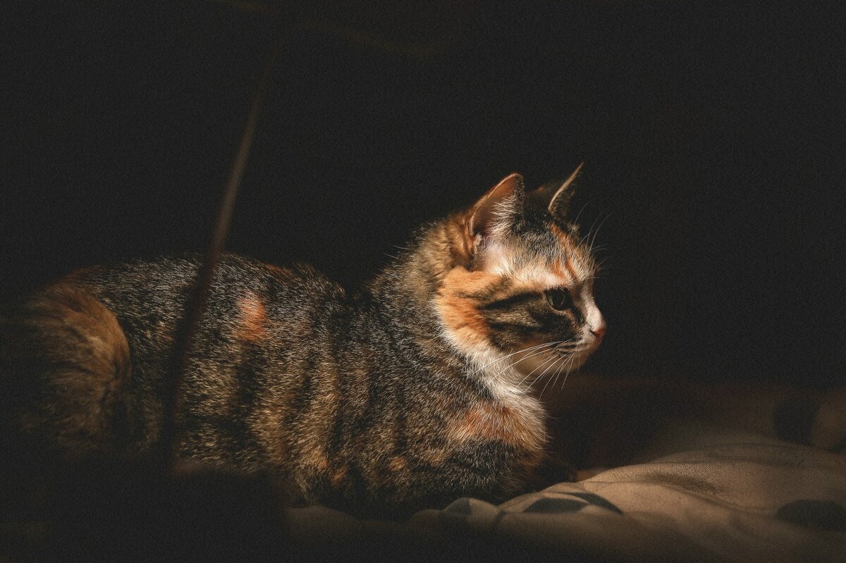 Мотя - Кристина Щукина