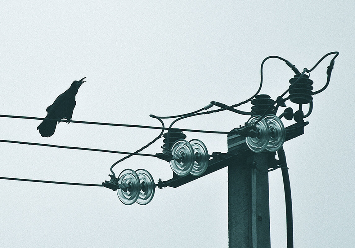 Осень, вернись! - Валентина Нефёдова Осень, вернись! - Валентина Нефёдова