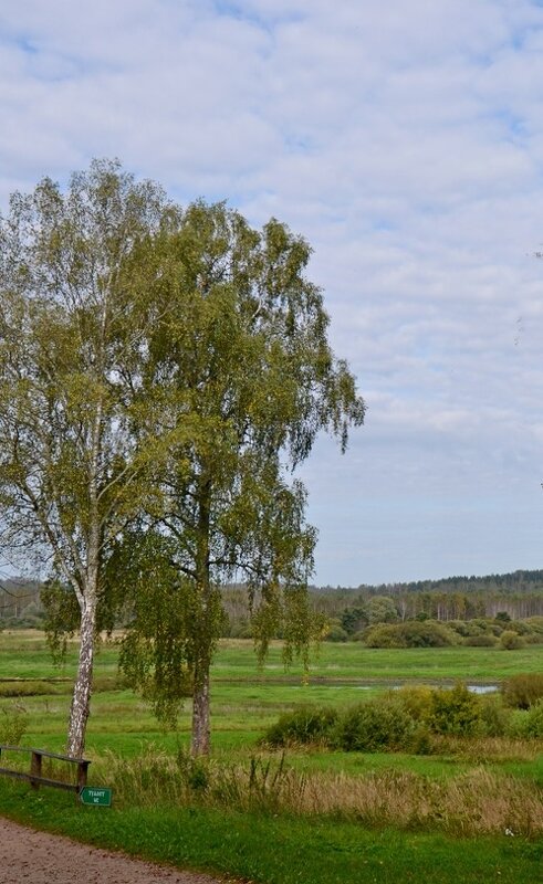 МИХАЙЛОВСКОЕ. - Виктор Осипчук