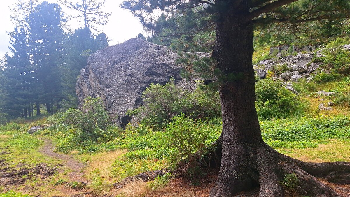 **** - Андрей Л. В.