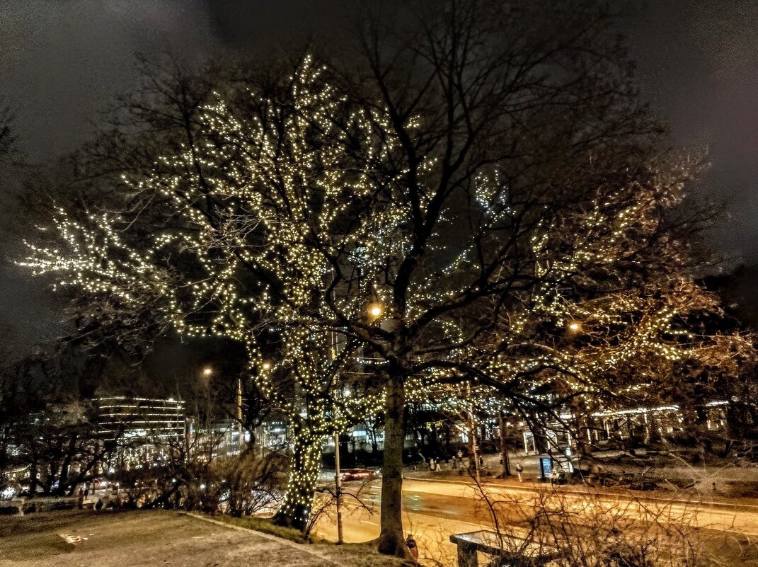 Праздничные огоньки - Veera V