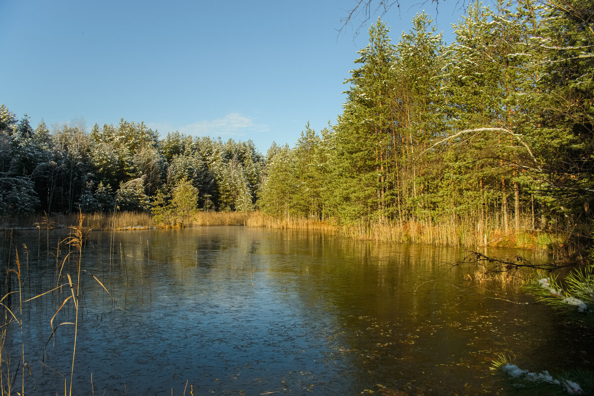 Воды и небес синева. - Николай 