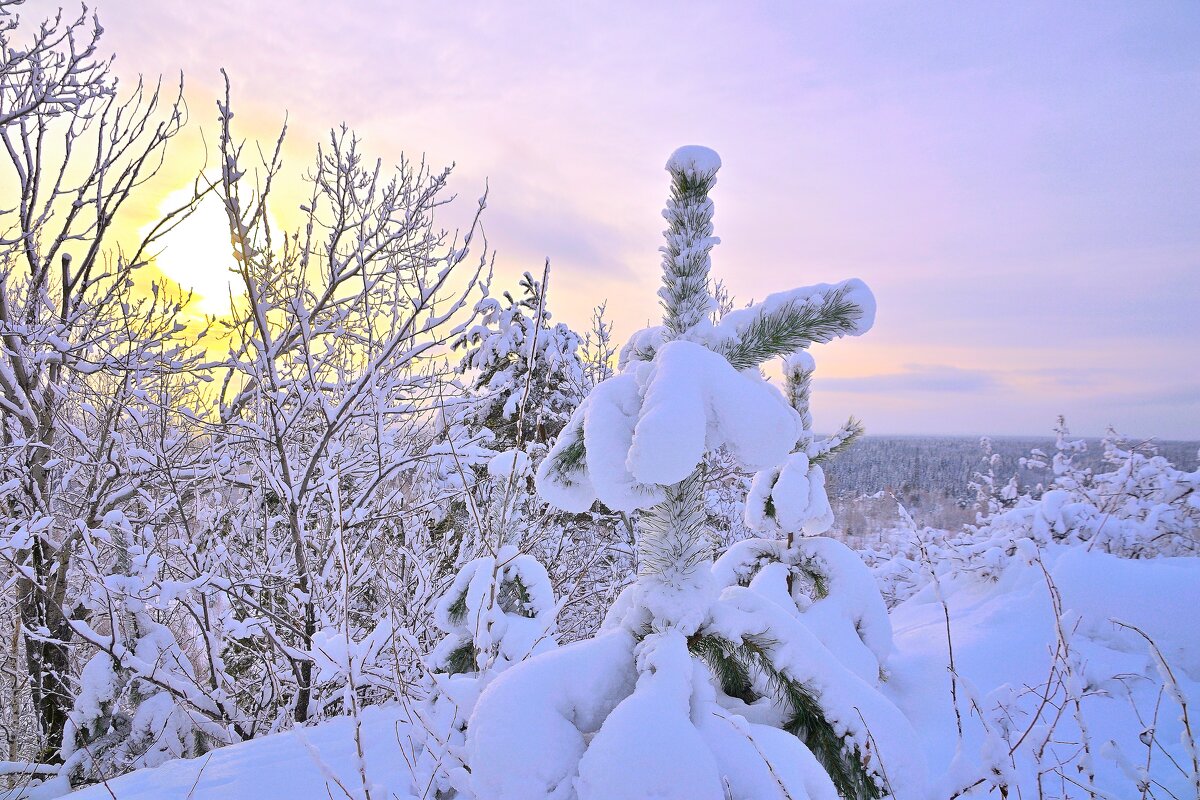 - - Владимир Мигонькин