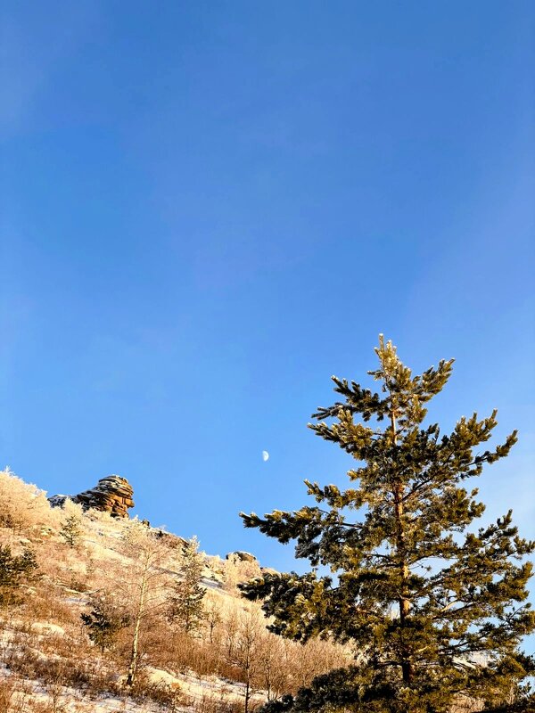 Путь к вершине - Георгиевич 