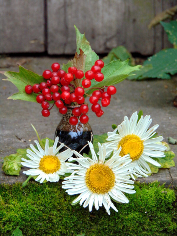 Натюрморт сентября. - nadyasilyuk Вознюк