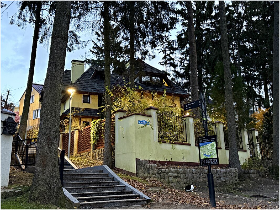 Прогулка по Светлогорску. - Валерия Комова