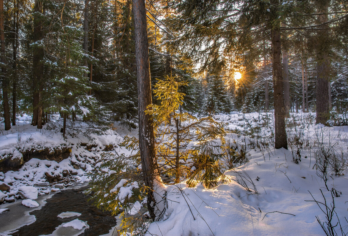 Вечерний свет - Vladimbormotov Вечерний свет - Vladimbormotov