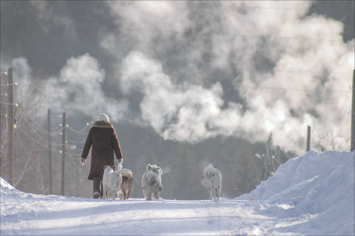 СКОРОЛЕТО - Александр Кустов