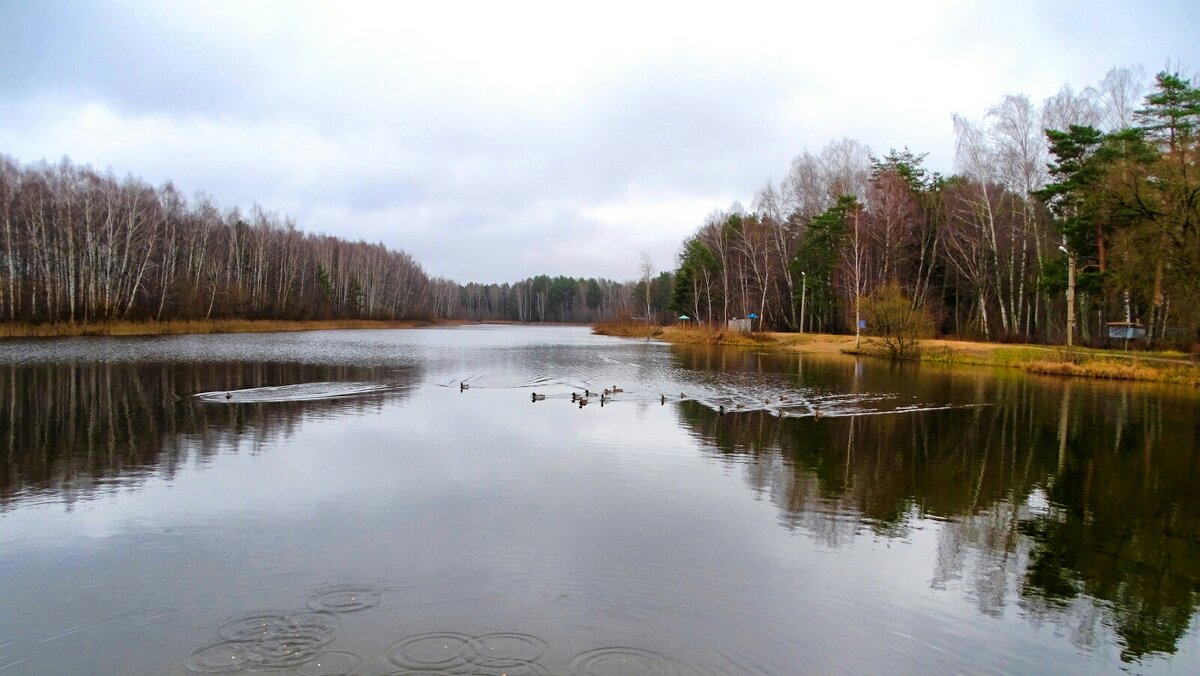Осень в конце ноября. - Милешкин Владимир Алексеевич 