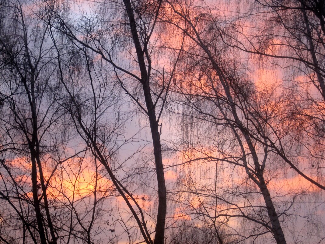 Небо рассвета - Елена Семигина