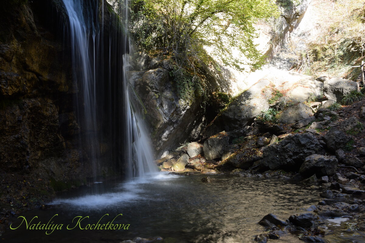 Природа Крыма - Amazing Cosmea Природа Крыма - Amazing Cosmea