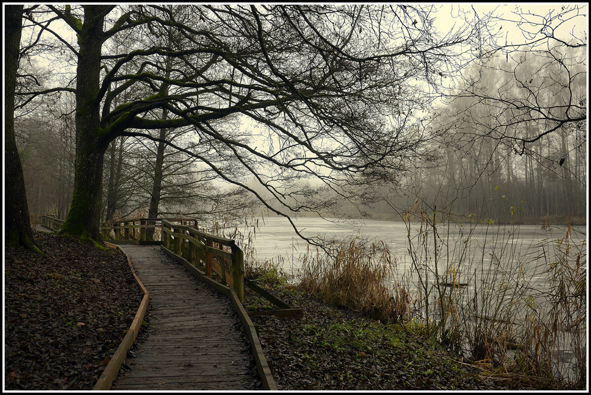 *** - Aleksandr Gal *** - Aleksandr Gal