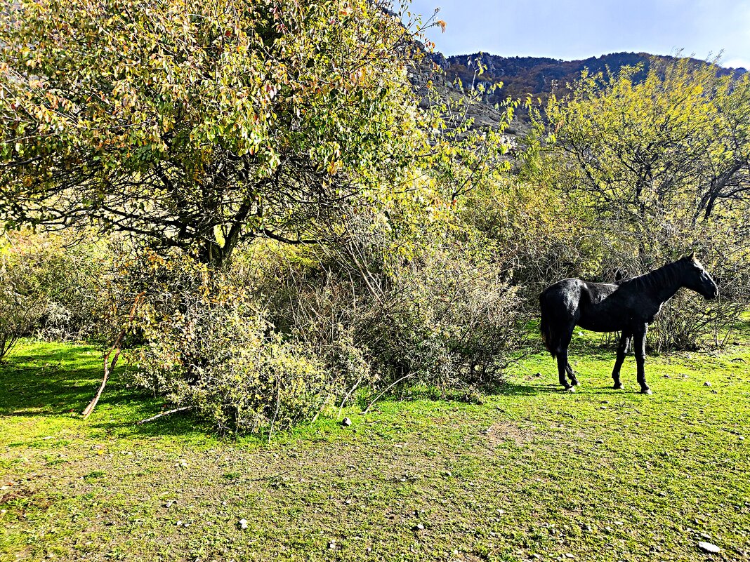 У подножия горы Южная Демерджи. - Виктор Мухин