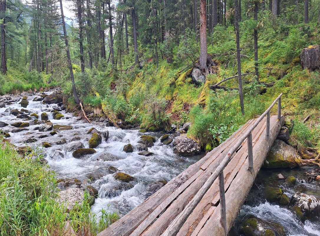 *** - Андрей Л. В.